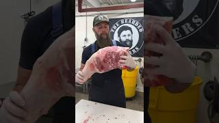 Pork Shoulder 🔪🐷 #shorts #reels #pork #butcher #butchering #pulledpork
