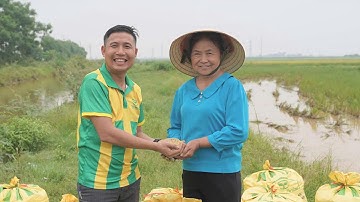 Cùng Tiến Nông làm giàu - Bà Lê Thị Phải, nông hộ lớn tại xã Dân Quyền, Triệu Sơn, Thanh Hóa