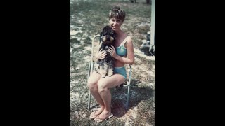 Video Tribute & Obituary for Patricia K. Matarazzo