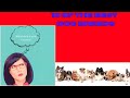 10 Of The Best Dog Breeds