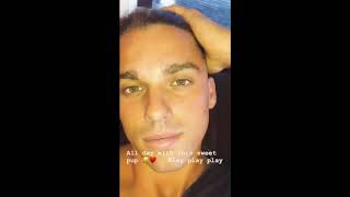Jay Alvarrez Instagram Stories ft new puppy Cupid