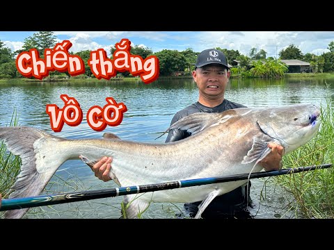 Solo Cần Đài Thắng Cá Nước Ngọt Khoẻ Nhất Thế Giới