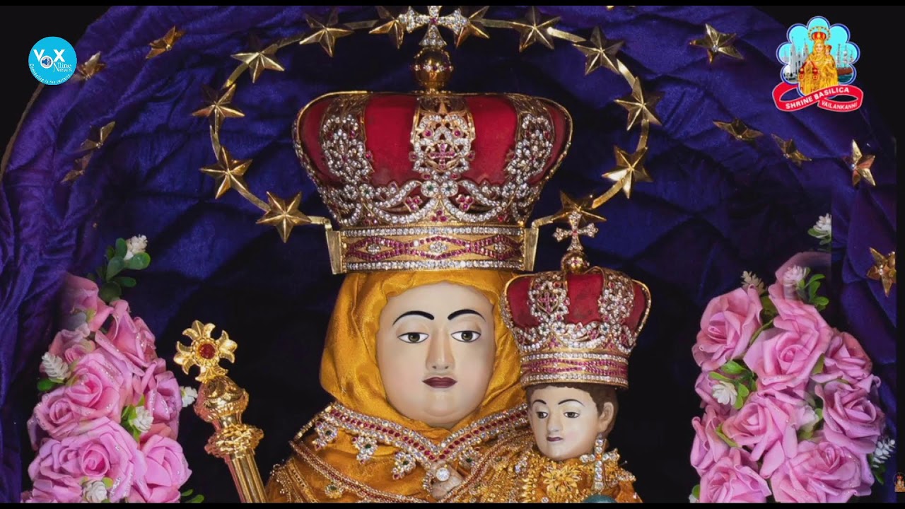 🔻 LIVE MASS || വേളാങ്കണ്ണി പള്ളിയിൽ നിന്ന് മലയാളം ദിവ്യബലി തത്സമയം || (MON to SAT 9 AM)