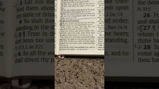 Proverbs 3:5-6 #explore #shorts #scripture
