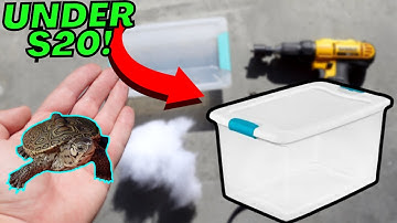 Cheap *DIY* TURTLE FILTER!