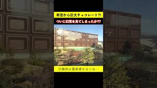 JR京都線からチョコレートが見えた?! お腹が空きすぎて幻覚を見てしまったのか??  鉄道shorts