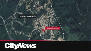 Tumbler Ridge residents describe harrowing moments after mass shooting