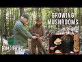 Growing mushrooms  indoors and outside  maryland farm  harvest