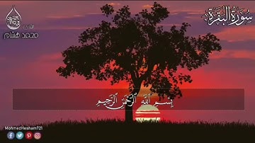 رحلة حفظ القران | الصفحة 25 - سورة البقرة الايات 169-164 مكررة سبع مرات لتسهيل الحفظ بصوت محمد هشام