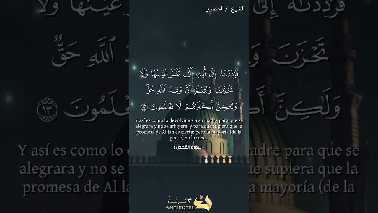 "Y así es como lo devolvimos a su madre para que se alegrara..."