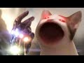 Pop Cat killed Thanos