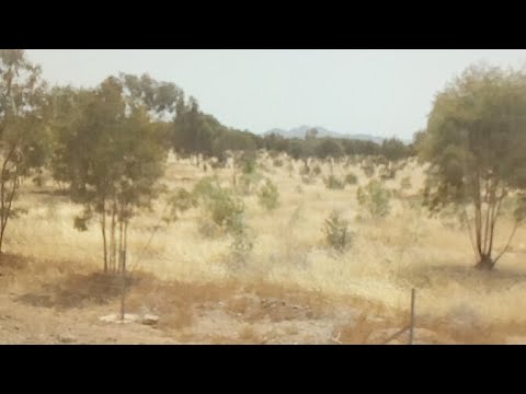 مرحبا بكم من جديد على متن القطار على الصامت