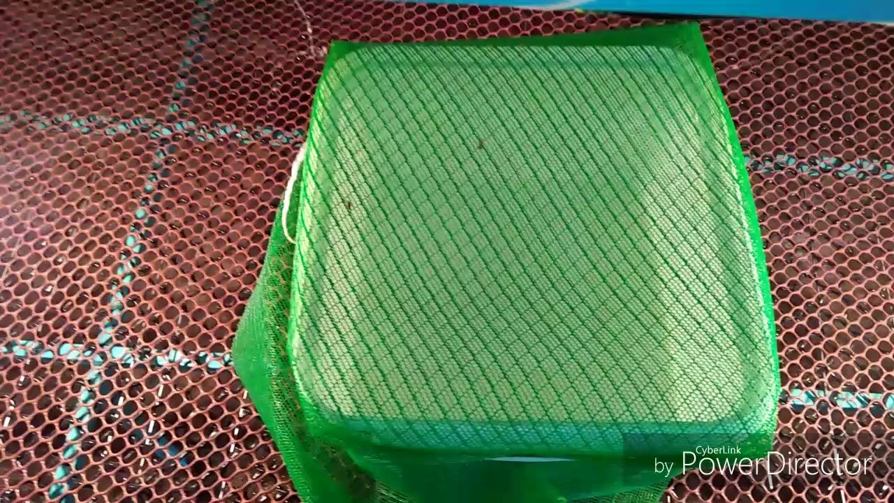 خطوات انشاء مزرعة تسمين دواجن - تجهيز البطاريات 3