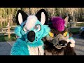 The furry games celebrating 1k subscribers ft max borkowski