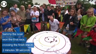 VIDEO: Snail Racing World Championship 2019 screenshot 2