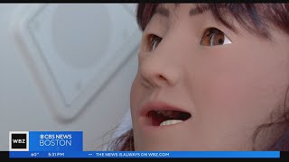 UMass Boston using $5M donation to create AI Institute Wealth