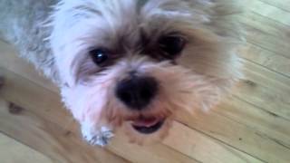 Jack Post Bath Delight!