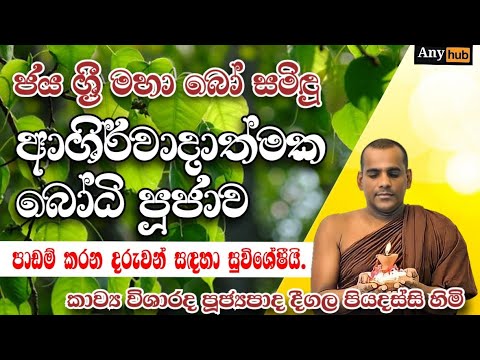          Sinhala Buddhist Bodhi Pooja Kavi Any hub Tv