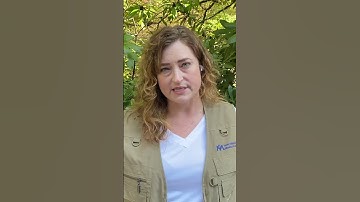 North Carolina Hurricane Helene Response Update