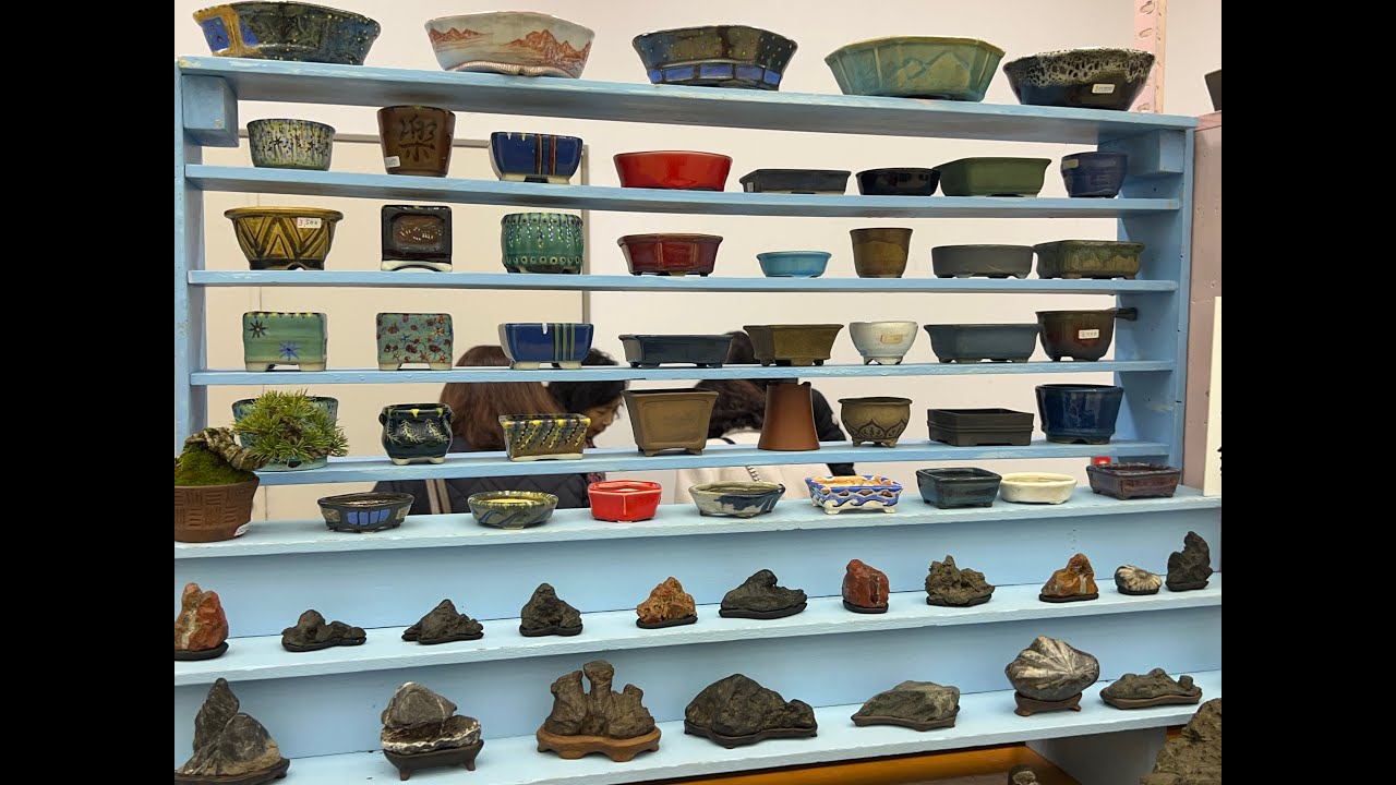 【４ＫBonsai】第49回 雅風展 小品盆栽フェ がふうてん Kyoto Exhibition World Small Bonsai Gafuten ミニ盆栽 Mini bonsai Part 3