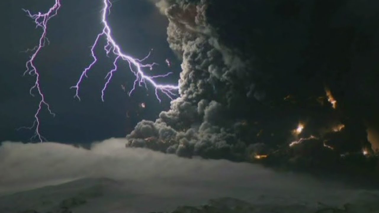 Nature S Weirdest Events Season Episode Nature S Weirdest Events Season Episode