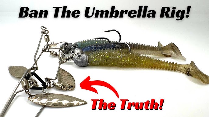 Fishing Umbrella Rigs (A-Rigs) in The Fall - Tackle Warehouse VLOG #216 