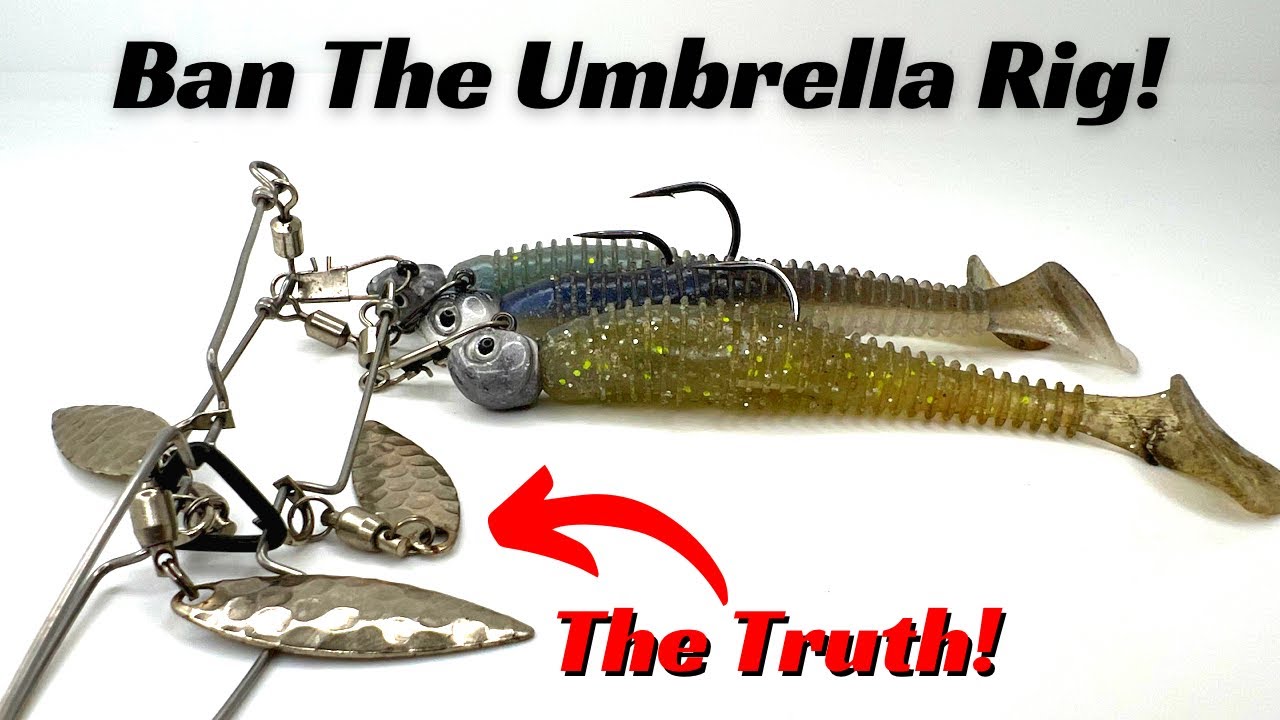 Ban The Umbrella Rig!!! Here Are The Facts! 