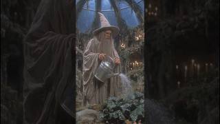 The Plant Was Too Well Fed #fantasyart #fantasy #weirdcore #wizard