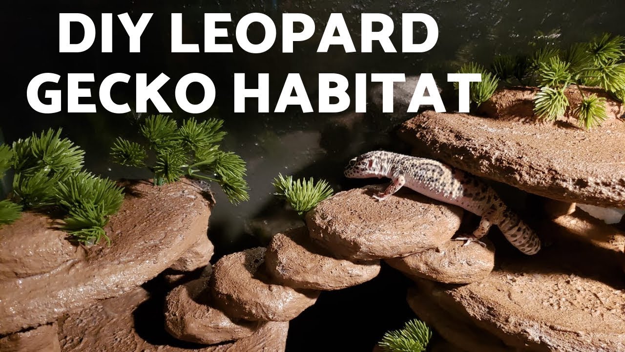 Habitat de gecko lopard bricolage   Insert de roche en mousse