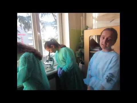 ,, პლაზმოლიზისა და დეპლაზმოლიზის დამოკიდებულება სხვადასხვა ფაქტორებზე “