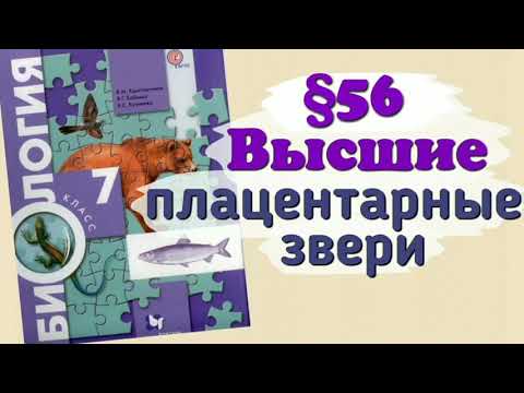 Краткий пересказ §56 Высшие или плацентарные: приматы. Биология 7 класс Константинова Бабенко
