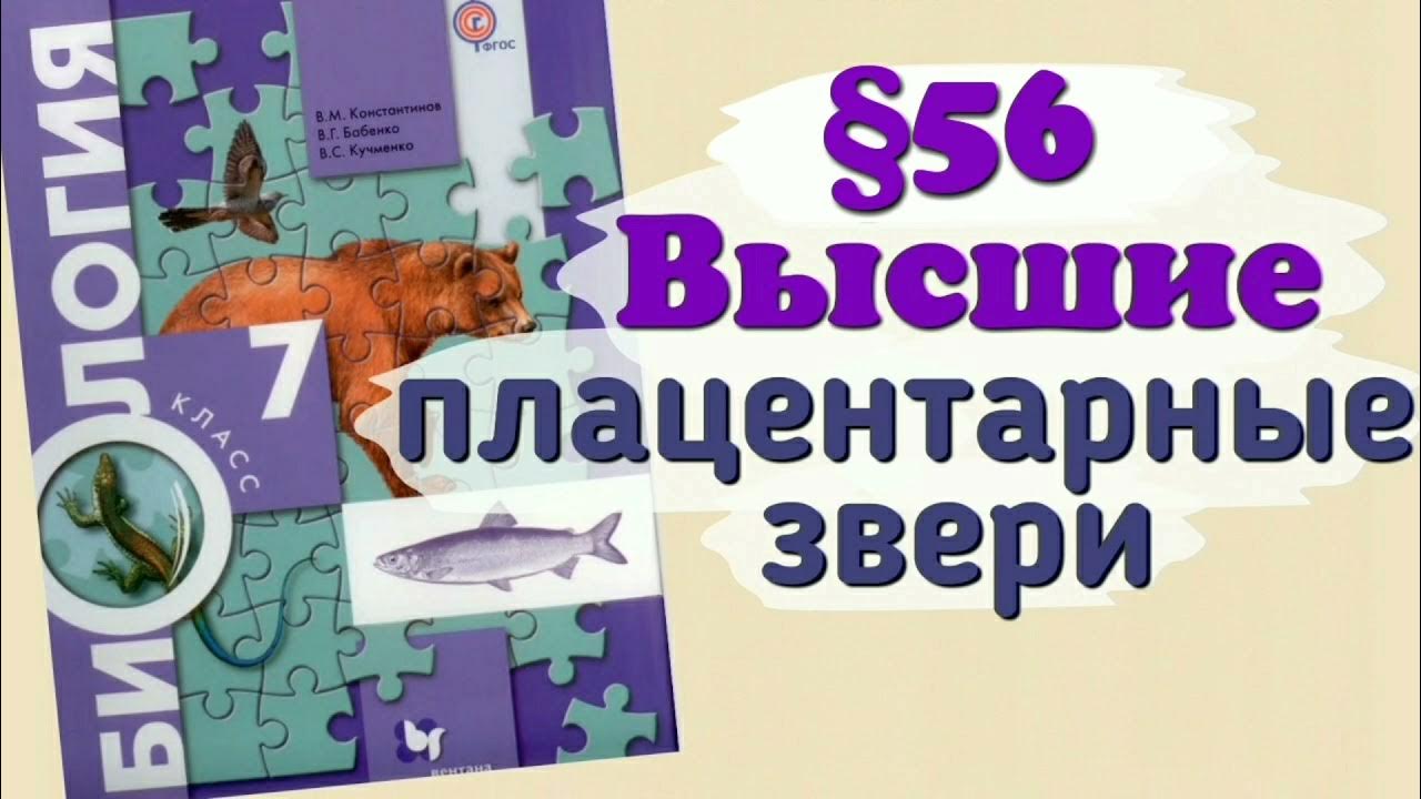 Бабенко 7 класс. Биология 8 класс бабенко.