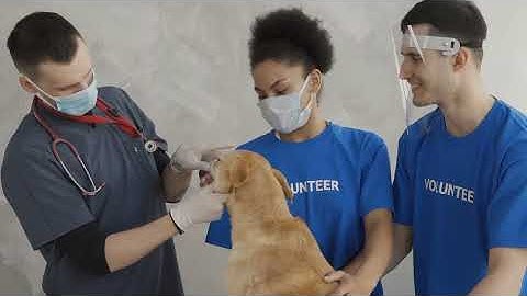 #971: Chinese Hackers Deploy BRICKSTORM Malware