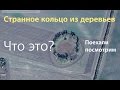 Странное кольцо деревьев на карте, поехали посмотрим