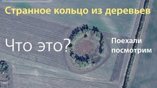 Странное кольцо деревьев на карте, поехали посмотрим