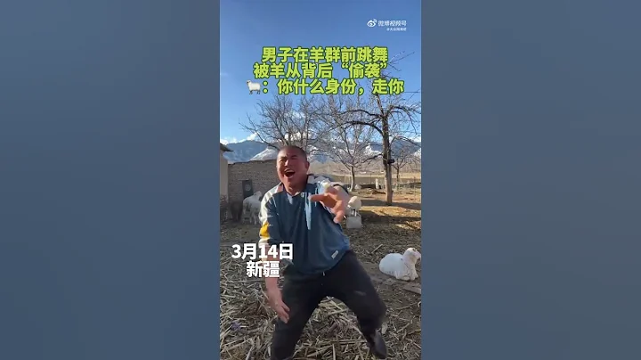 男子跳舞中被羊從身後頂飛，羊：閃開，當我鏡頭了 - 天天要聞