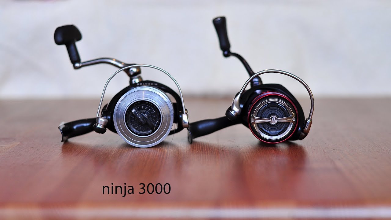 Daiwa Fuego Lt 2500d Unboxing Plus Fotos Youtube