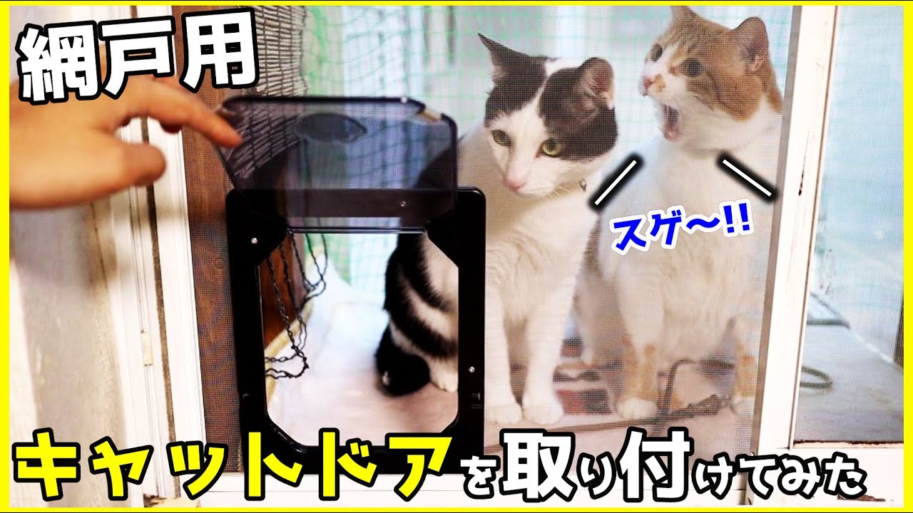 網戸のペットドア 猫ドアの取り付けdiyの実例 とりまるラボ
