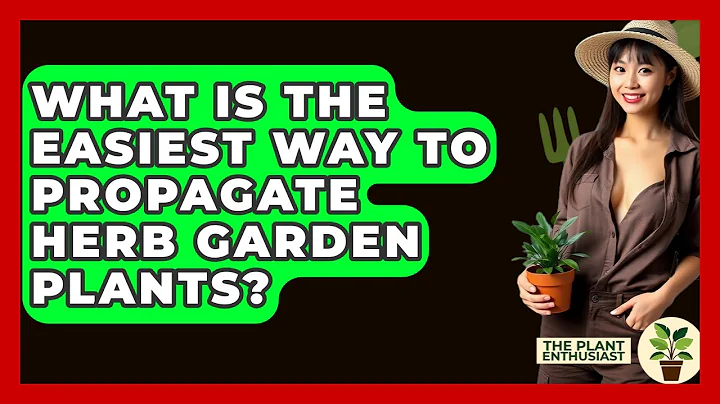 What Is The Easiest Way To Propagate Herb Garden Plants? - The Plant Enthusiast