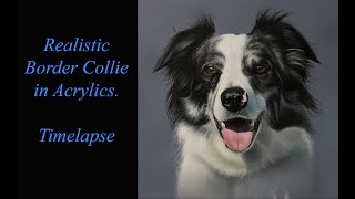 Paint a realistic border collie dog using acrylic speed painting timelapse/