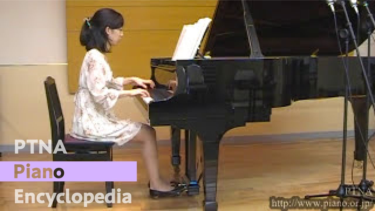 Heller, Stephen／Nuits blanches,6.Seriosa (Allegro deciso),Op.82
