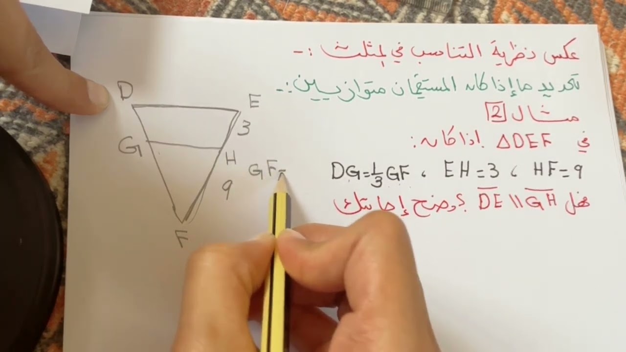 Параллельные прямые и пропорциональные части, часть 1, для первого года средней школы.