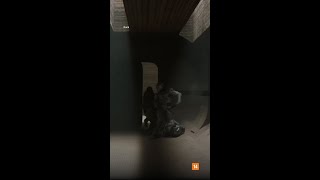 Jason Momoa E Timothée Chalamet Em Duna