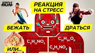 Как избавиться от стресса 😤?