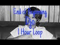 End Of Beginning Djo Joe Keery 1 Hour Loop mp3