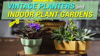 Using Vintage Planters to Create Indoor plant gardens | Episode 36 of Blossoms and Bourbon