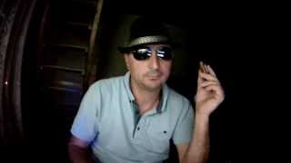 With A Little Help From My Friends cover on Marine Band harp