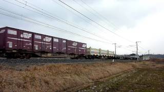 EF65 1043
