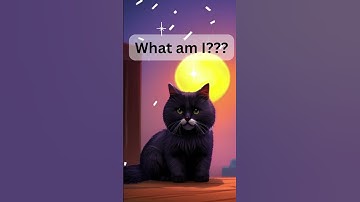A cat riddle for you #shorts #riddles #cat