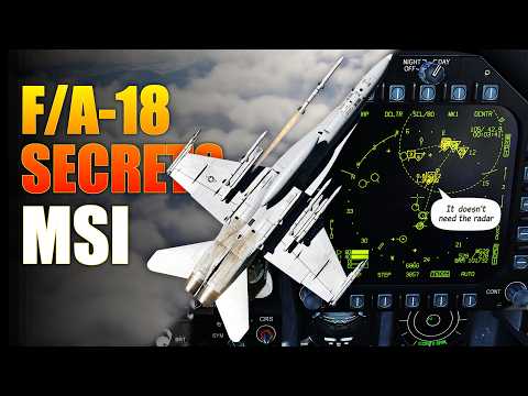 MSI Explained: You're Using It, But Not to Its Full Potential | DCS | F/A-18 Hornet